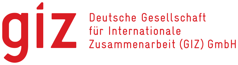 GIZ logo